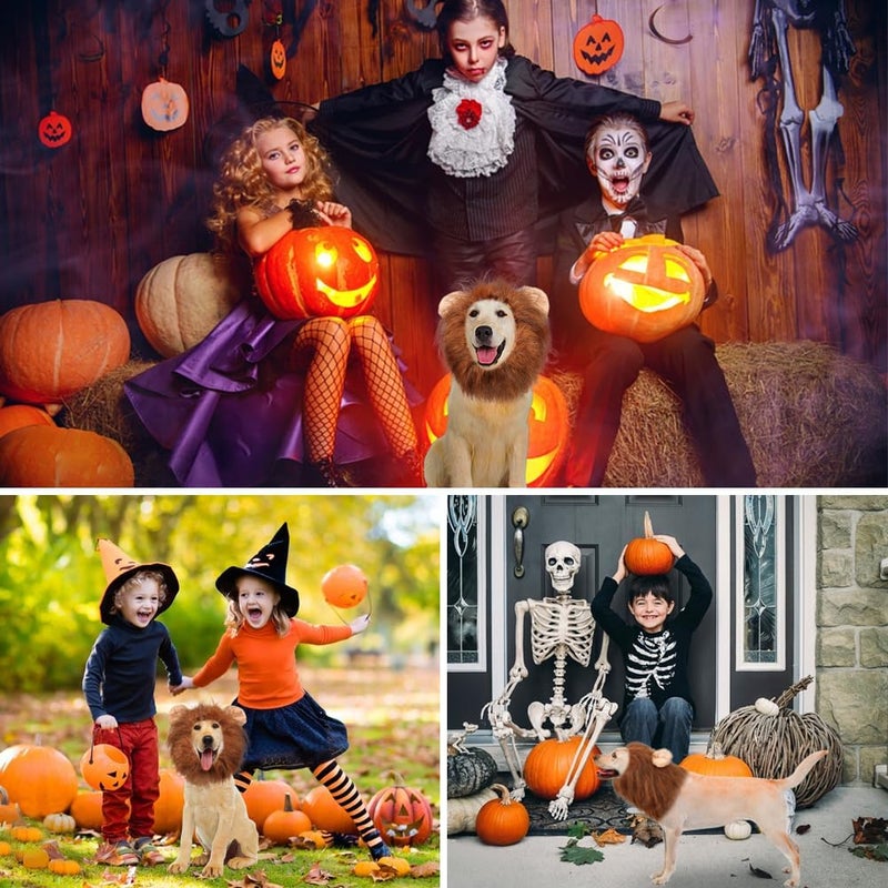 Vivifying Lion Mane for Dog, Adjustable Halloween Lion Costume Wig with Ears for Medium Dogs, Realistic & Funny Accessory Perfect for Parties and Photoshoots (Medium, Brown&Black) - Image 5